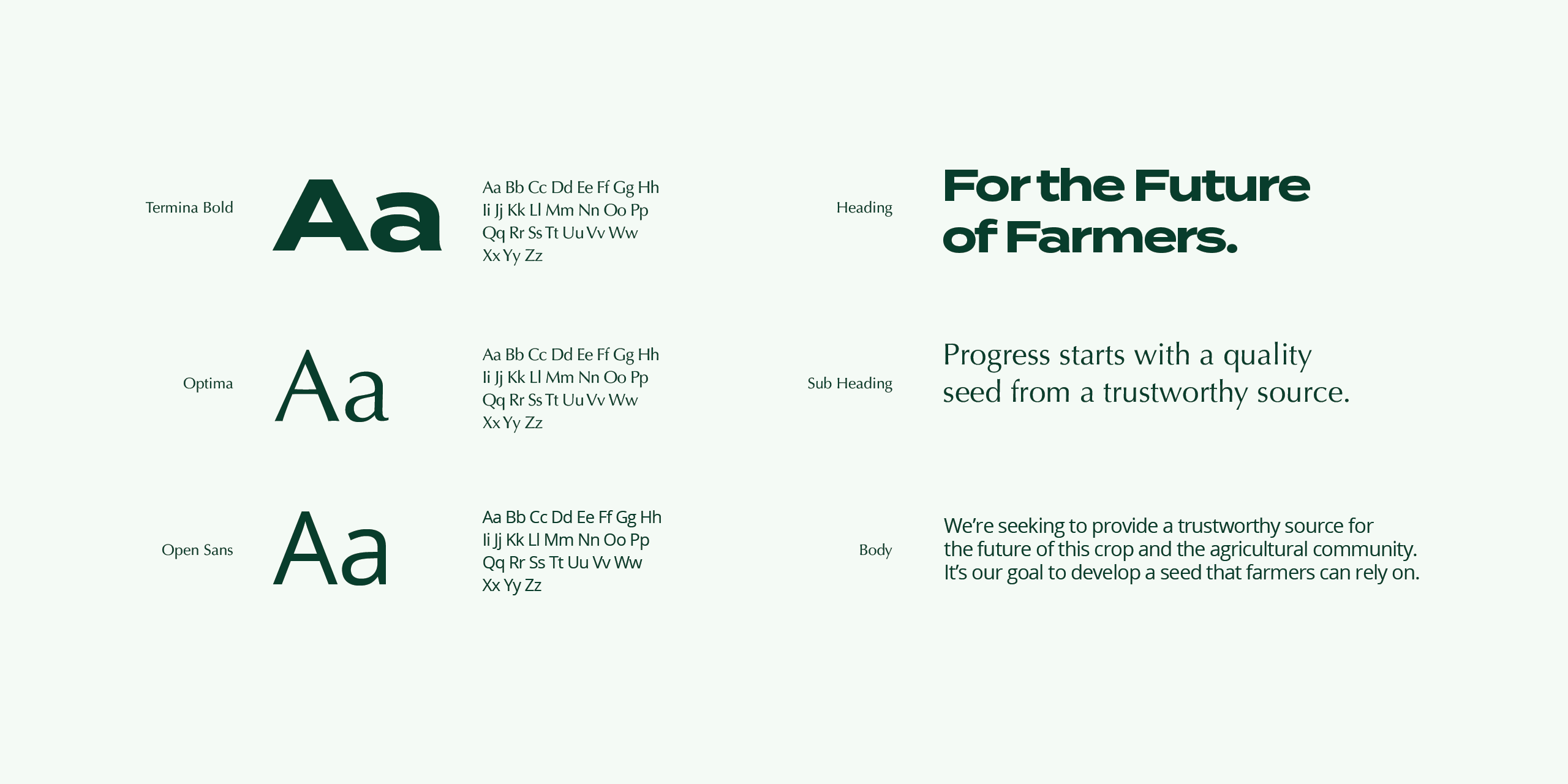 Collection of typography rules used for Hemponix Seed Co branding - includes Termina Bold, Optima, and Open Sans typefaces