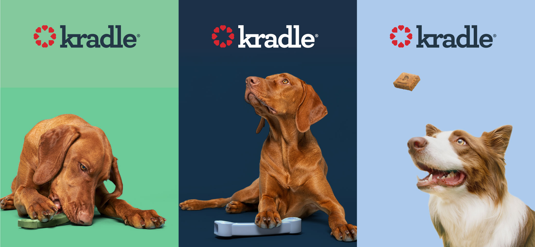 Triptych of dogs chewing on toys and looking at treats.