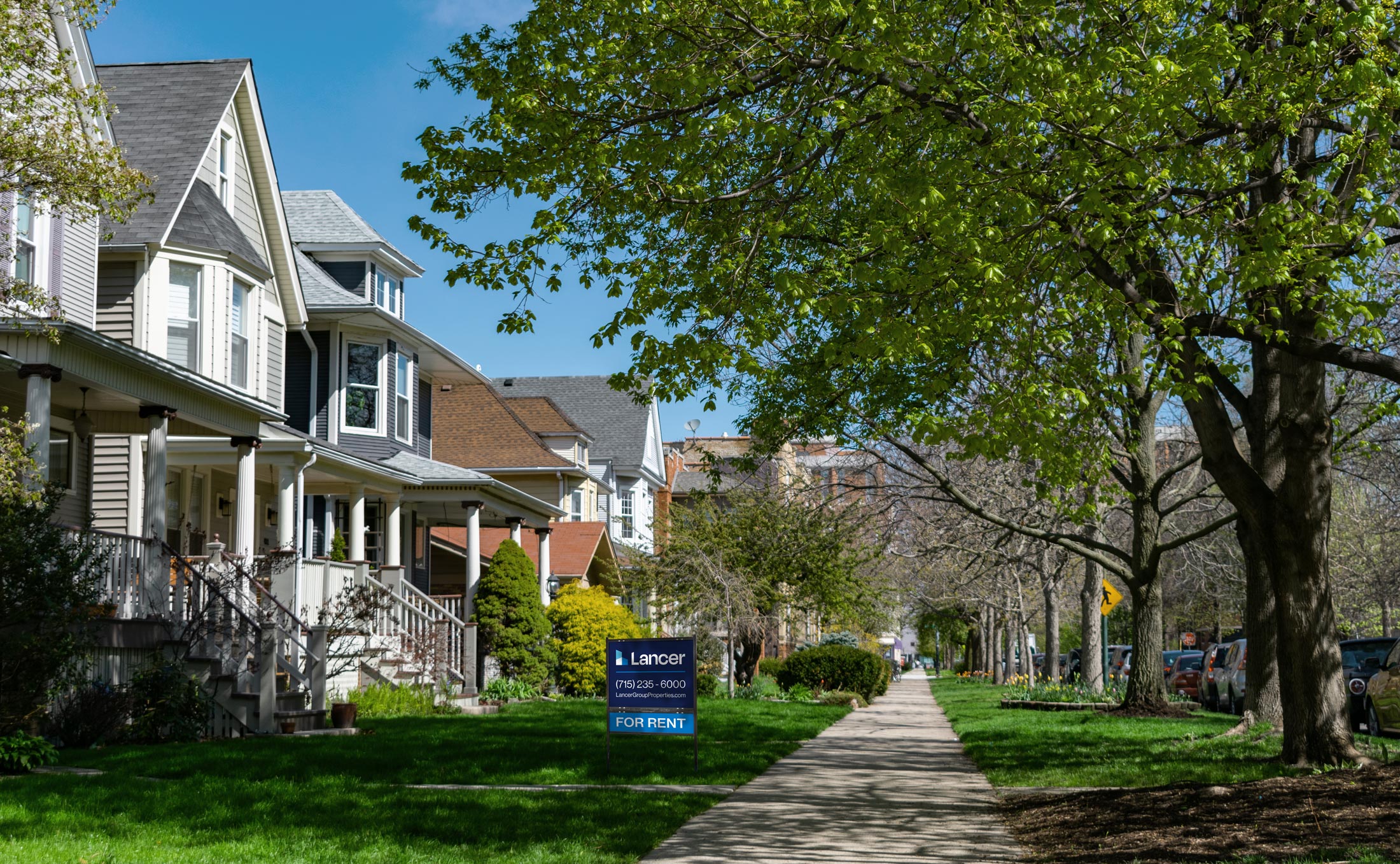 A neighborhood with a long sidewalk and lots of trees, one of the homes has a blue "For Rent" sign out front.