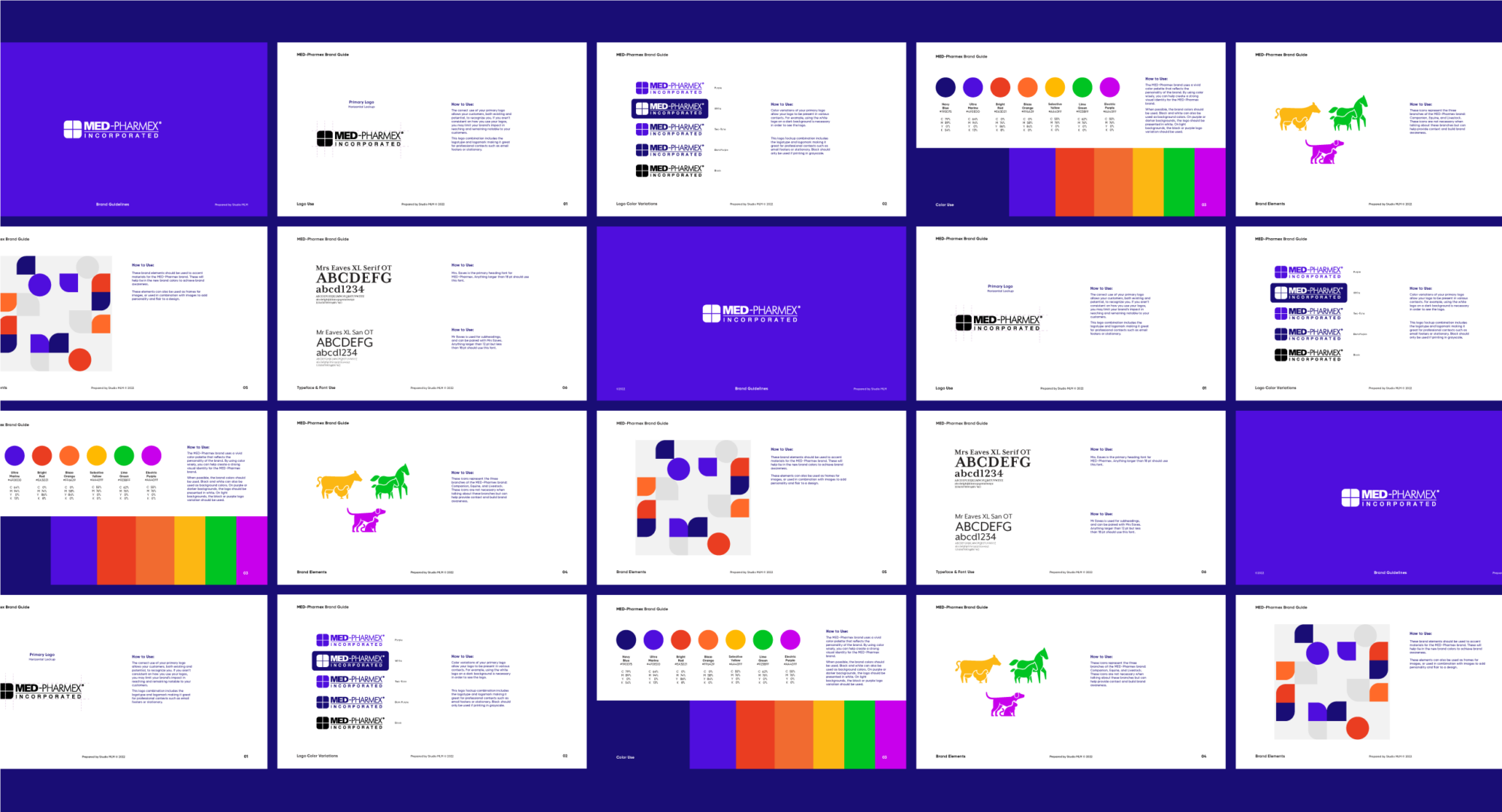 Panels visualizing the rules of the Med Pharmex brand identity.